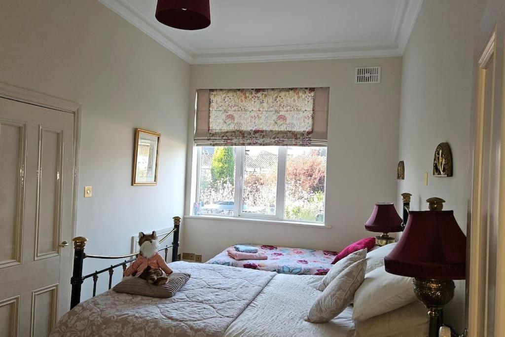 Grove Cottage At The Lodge Tullow Bagian luar foto