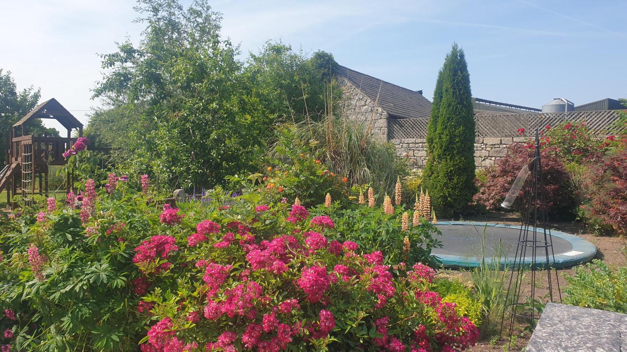Grove Cottage At The Lodge Tullow Bagian luar foto